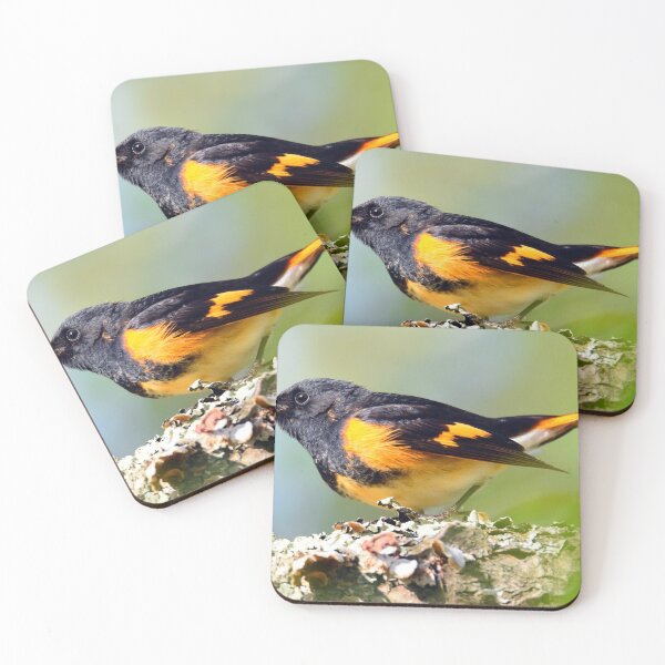 Item preview, american redstart designed and sold by telley20.