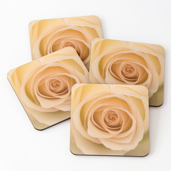 Item preview, Close-up of a creamy white rose designed and sold by Dolfilms.