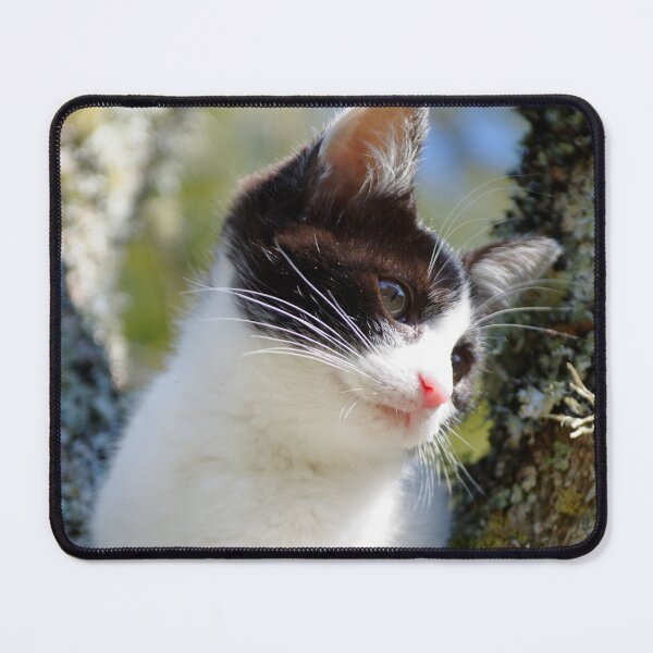 Item preview, Snowshoe cat, cat lover designed and sold by Designista436.