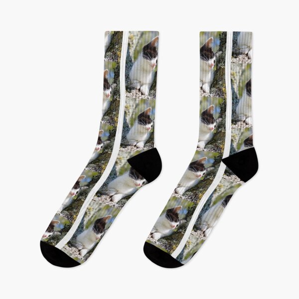 Item preview, Snowshoe cat, cat lover designed and sold by Designista436.