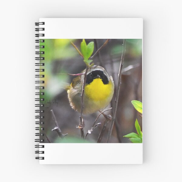 Item preview, warbler designed and sold by telley20.
