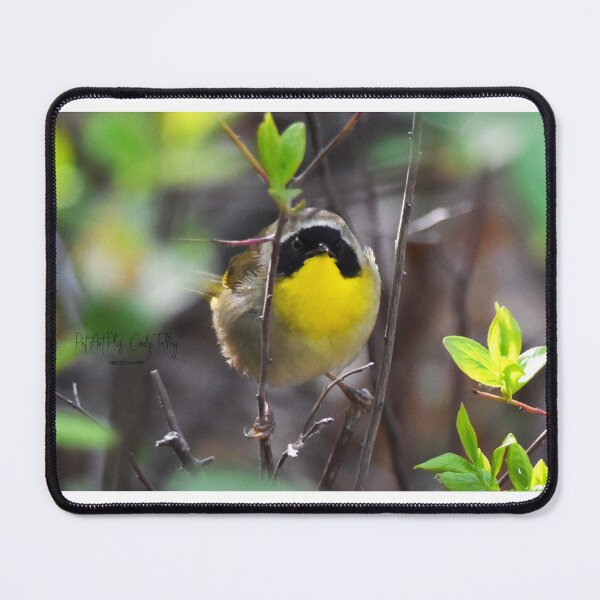 Item preview, warbler designed and sold by telley20.