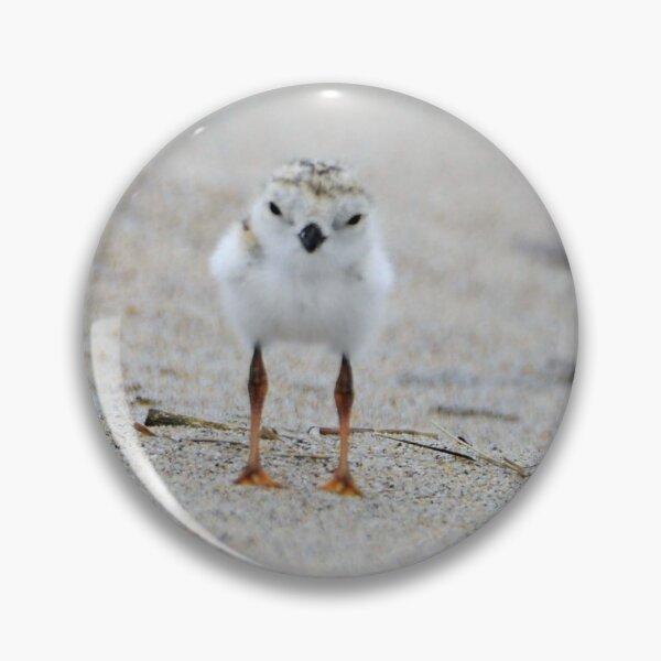 Item preview, baby plover designed and sold by telley20.