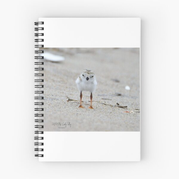 Item preview, baby plover designed and sold by telley20.