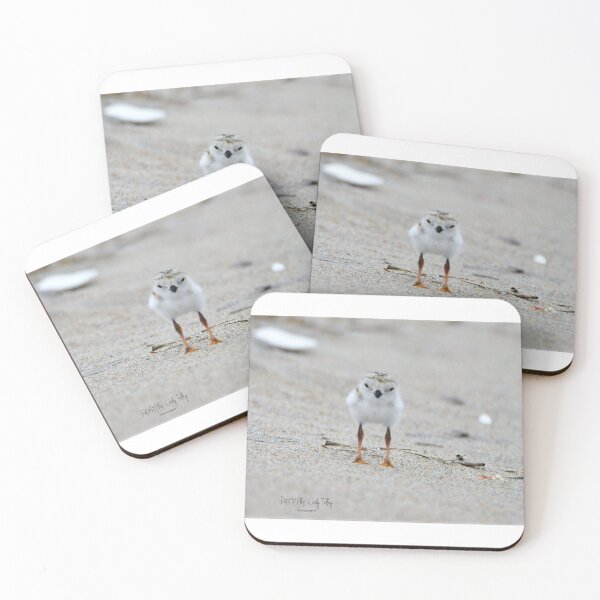 Item preview, baby plover designed and sold by telley20.