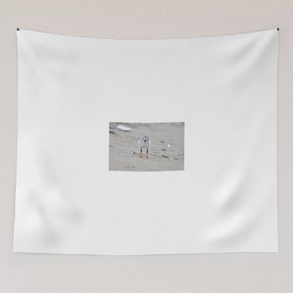 Item preview, baby plover designed and sold by telley20.