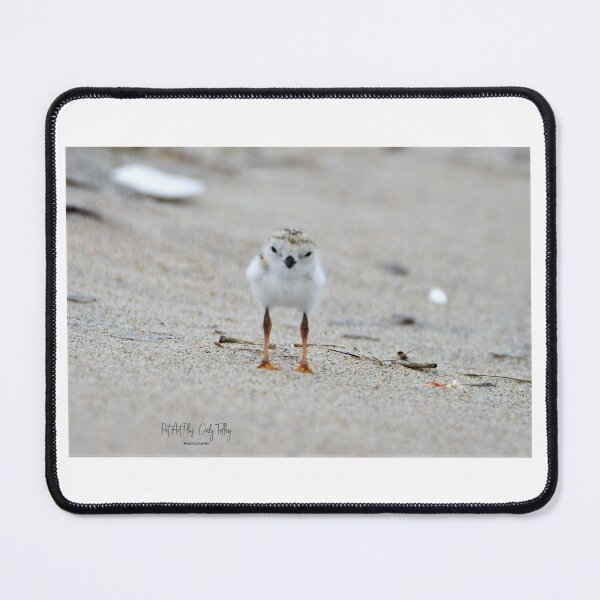 Item preview, baby plover designed and sold by telley20.