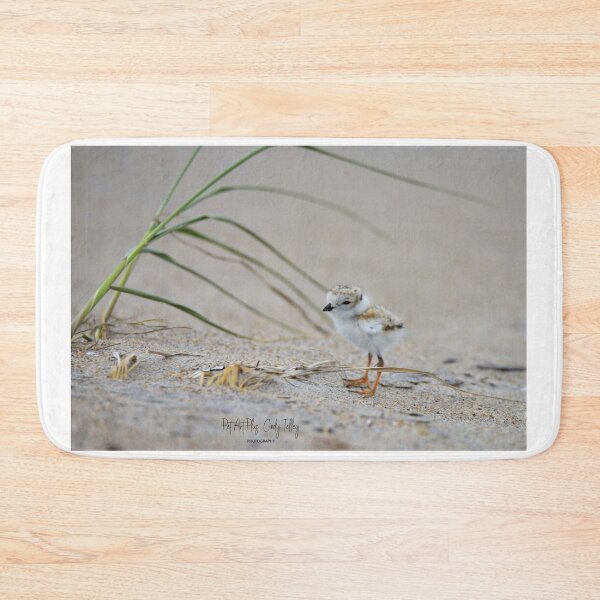 Item preview, Baby Plover designed and sold by telley20.