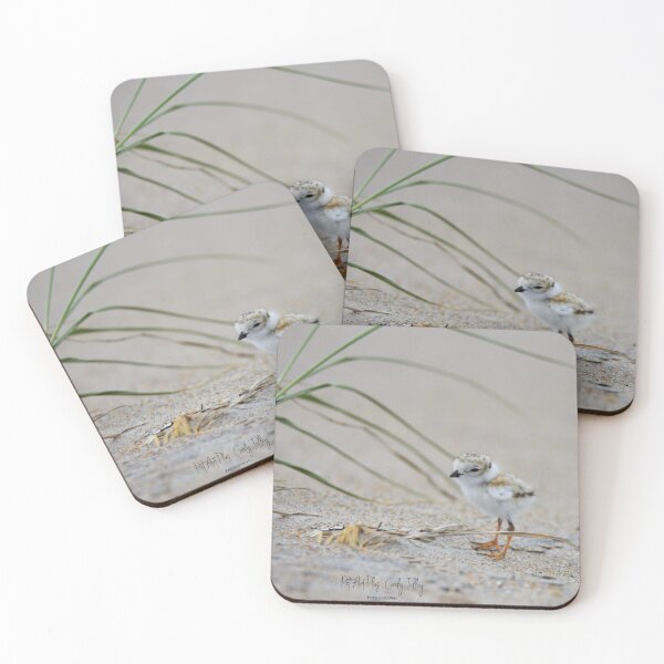 Item preview, Baby Plover designed and sold by telley20.