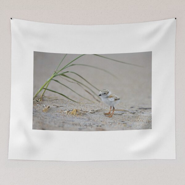 Item preview, Baby Plover designed and sold by telley20.