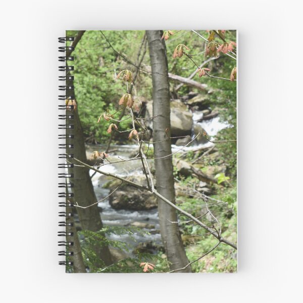 Item preview, Peaceful designed and sold by bertsworks300.