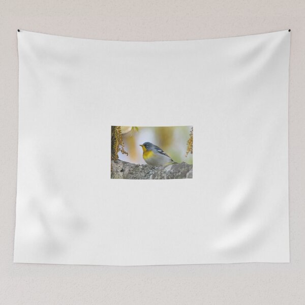 Item preview, male Northern Parula designed and sold by telley20.