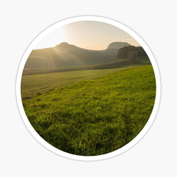 Green meadow and golden light 1 Sticker