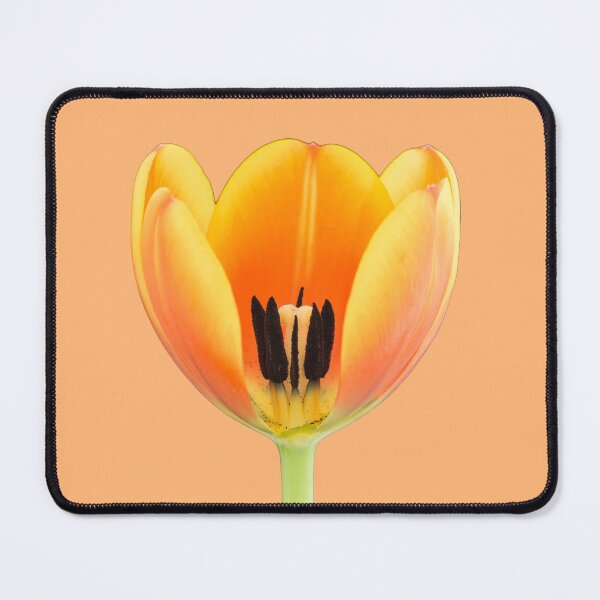 Item preview, Close-up of a orange-yellowish tulip  designed and sold by Dolfilms.
