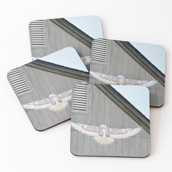Item preview, snowey in flight 3 designed and sold by telley20.