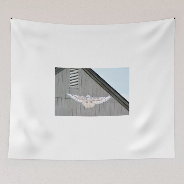 Item preview, snowey in flight 3 designed and sold by telley20.