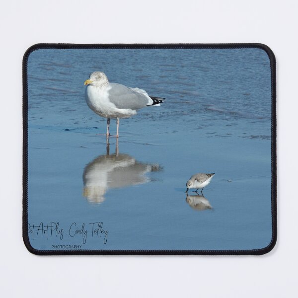 Item preview, gull and sandpiper designed and sold by telley20.