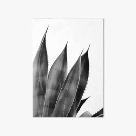 Black and White Cactus Succulent Agave Plant Art Board Print