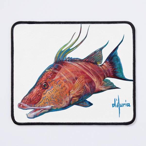 Item preview, Hogfish designed and sold by Thomas D'Auria.