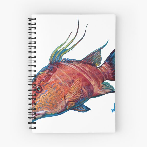 Item preview, Hogfish designed and sold by Thomas D'Auria.