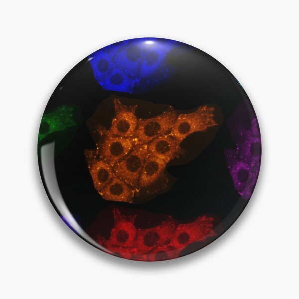 Item preview, Neon rainbow epithelial cell micrograph beautiful abstract art and science  designed and sold by ArtByScience.