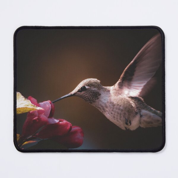 Item preview, Hummingbird at red flower  designed and sold by Sandi Walmsley.