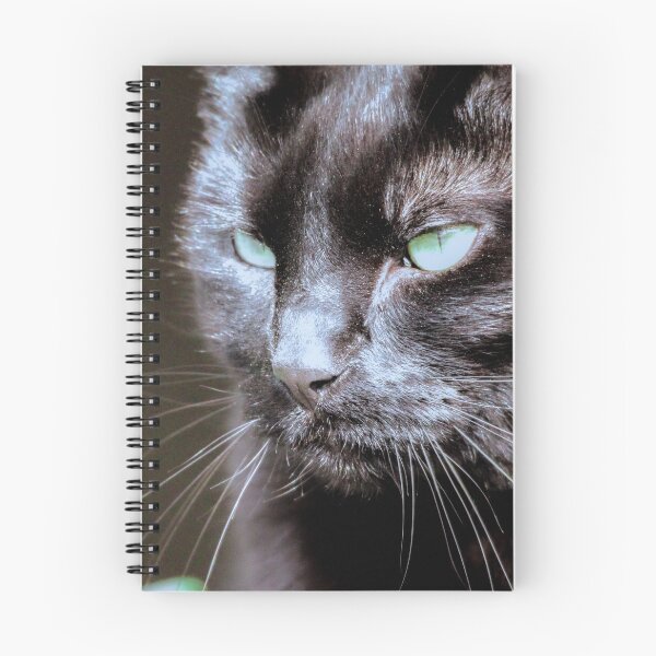 Item preview, Black cat  designed and sold by Sandi Walmsley.