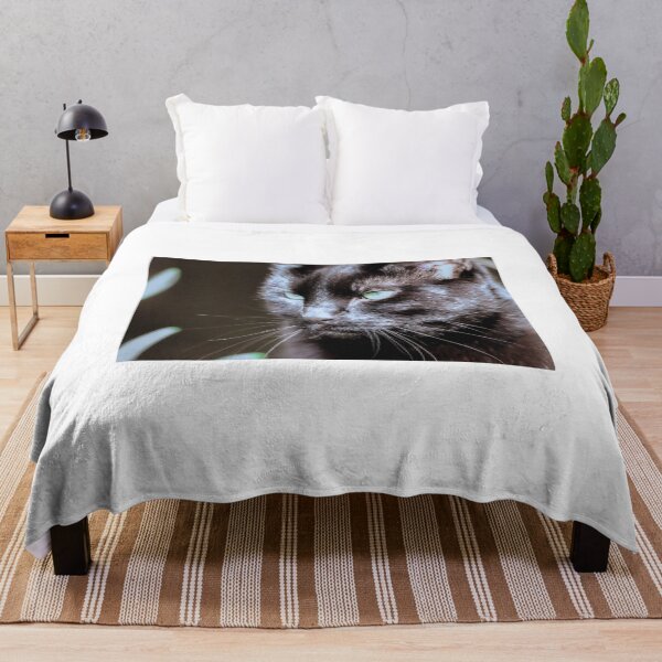 Item preview, Black cat designed and sold by Sandi Walmsley.