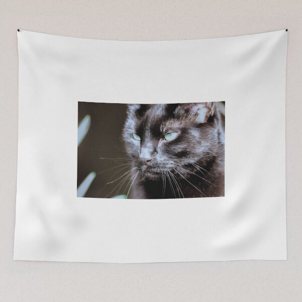 Item preview, Black cat  designed and sold by Sandi Walmsley.