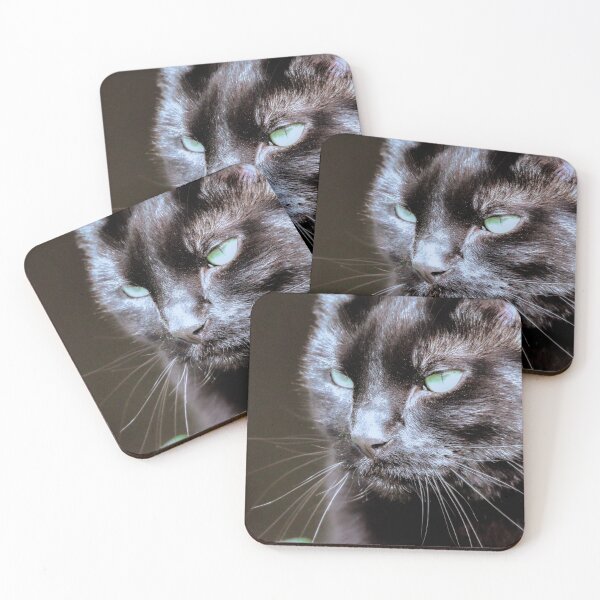 Item preview, Black cat  designed and sold by Sandi Walmsley.