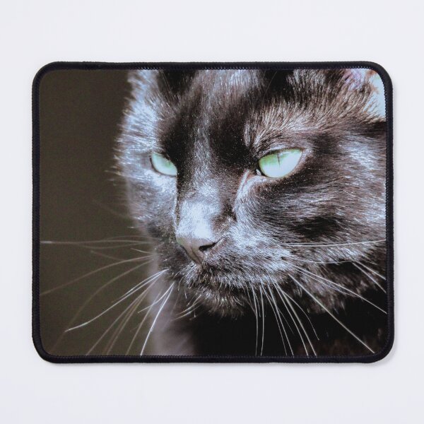 Item preview, Black cat designed and sold by Sandi Walmsley.