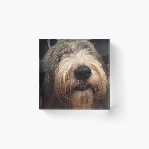 I Love Bearded Collies - Beardie Love Acrylic Block