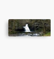West Burton Falls Canvas Print