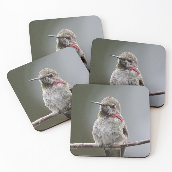 Item preview, Hummingbird upclose designed and sold by Sandi Walmsley.