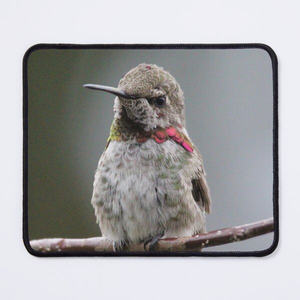 Item preview, Hummingbird upclose designed and sold by Sandi Walmsley.