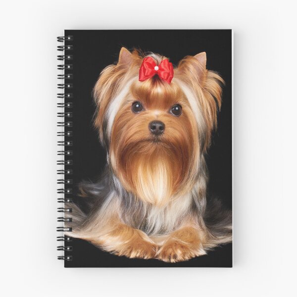 Item preview, Yorkie with bow designed and sold by photopotam.