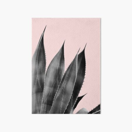 Pink Black and White Cactus Succulent Agave Plant Art Board Print