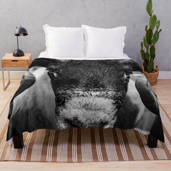 Item preview, Northumberland Show Sheep #2 designed and sold by axp7884.