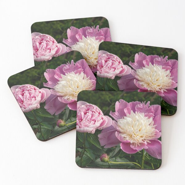 Item preview, Pink Peony Life Stages designed and sold by Gerda Grice Photography.