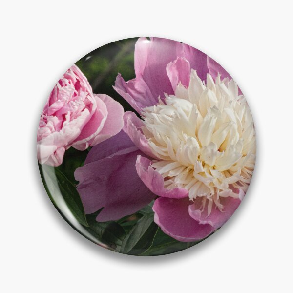 Item preview, Pink Peony Life Stages designed and sold by Gerda Grice Photography.
