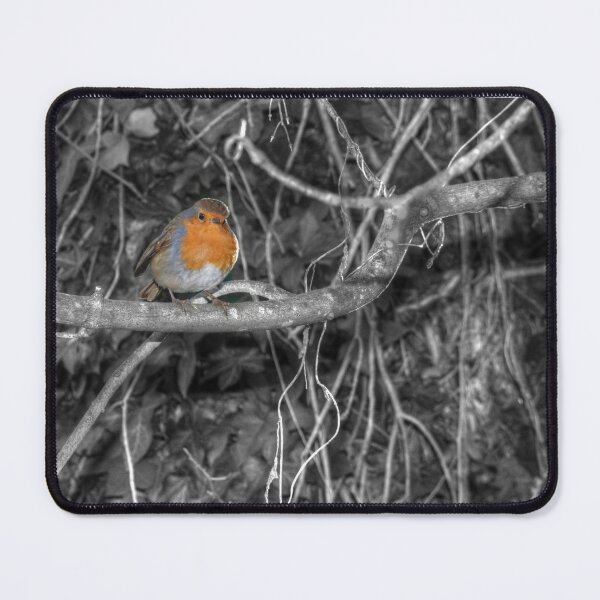 Item preview, Robin designed and sold by days-photographic.