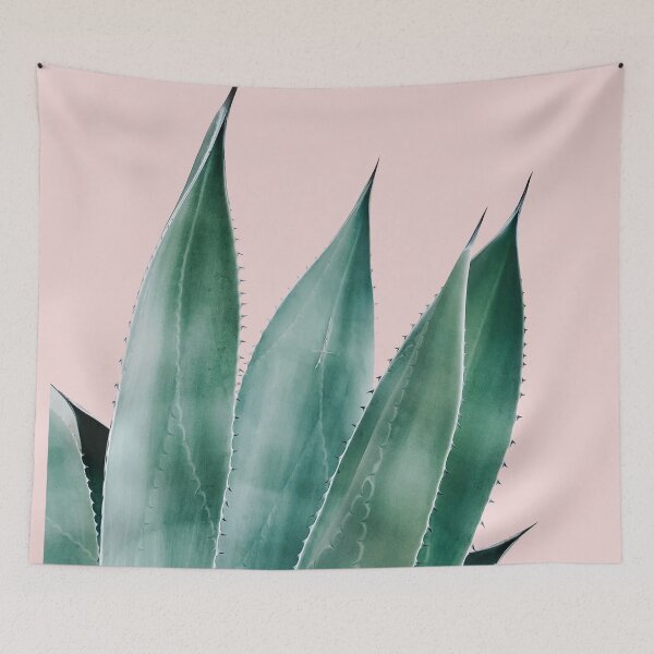 Aperçu de l'œuvre Plante d'agave succulente de cactus vert rose créée et vendue par Tropical Arts.