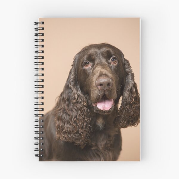 Artikelvorschau, Wallace der Feldspaniel entworfen und verkauft von Penel.