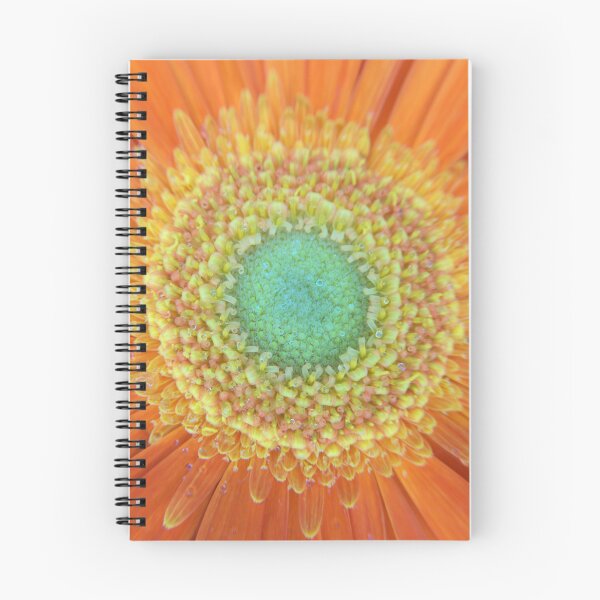 Item preview, Orange and yellow Gerbera designed and sold by days-photographic.