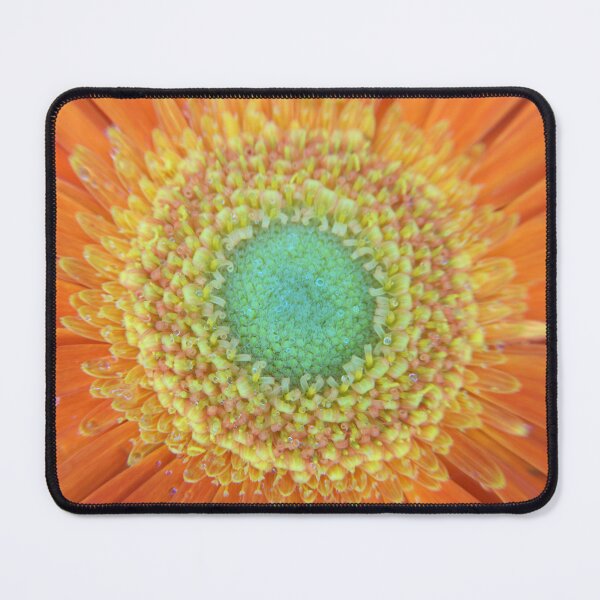 Item preview, Orange and yellow Gerbera designed and sold by days-photographic.