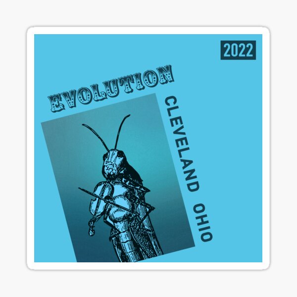 Evolution 2022 (Joe Greene's Fiddle Album) Sticker