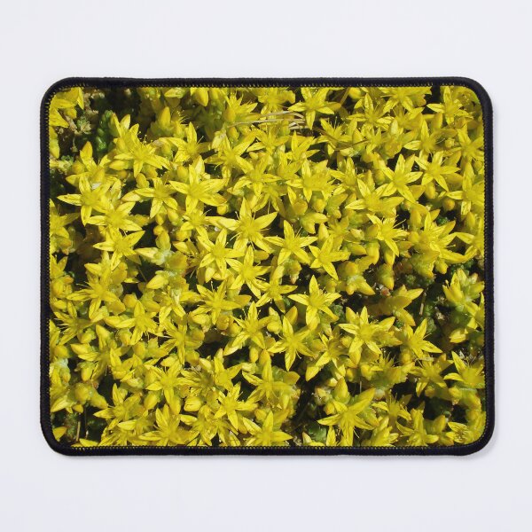 Item preview, Goldmoss stonecrop designed and sold by MariaKuhi.