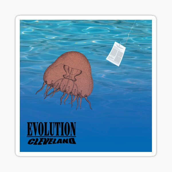 Evolution 2022 (Nirvana's Nevermind) Sticker