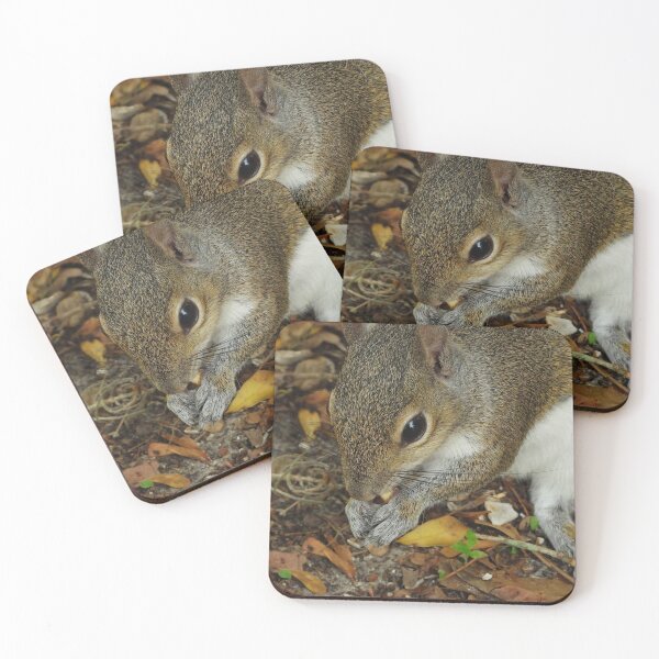 Item preview, Cute Squirrel #0053 designed and sold by Jeffrey Mask.