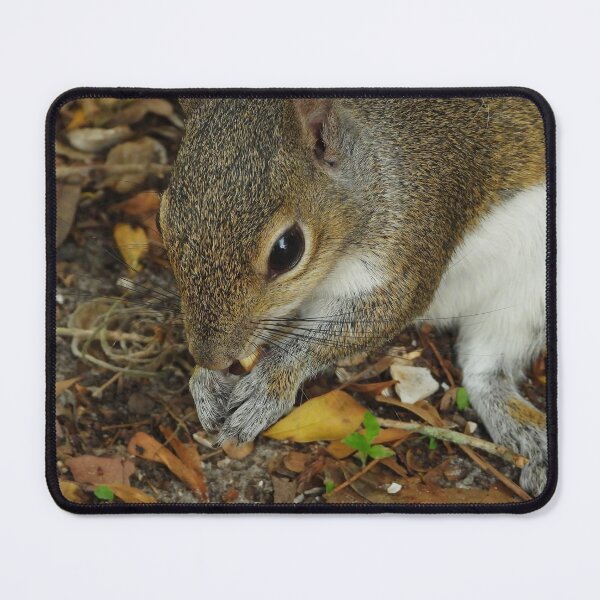 Item preview, Cute Squirrel #0053 designed and sold by Jeffrey Mask.
